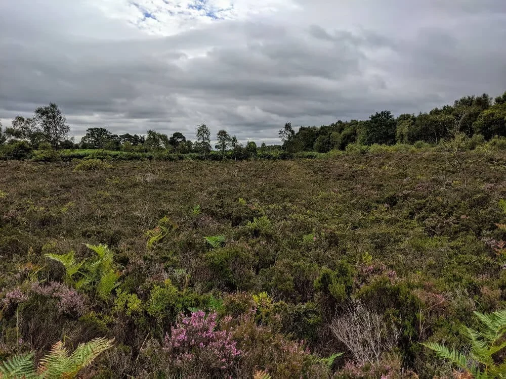 Visit Peatlands Park and Get Into Nature