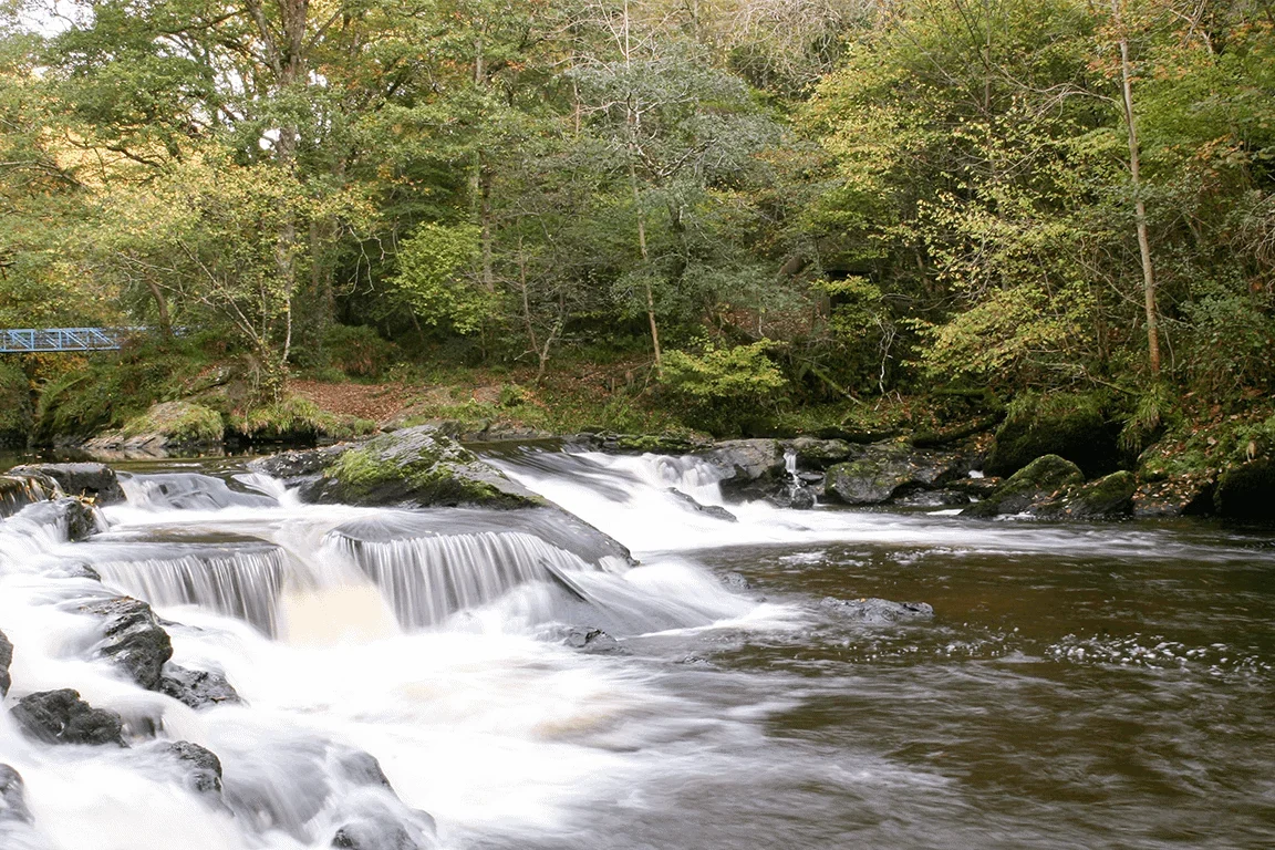 Visit Roe Valley Country Park and Get Into Nature