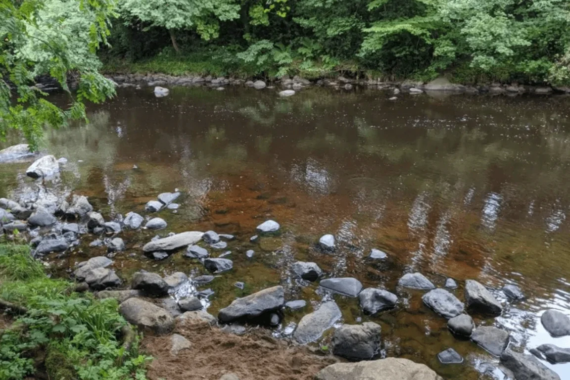Peatland Red River 1