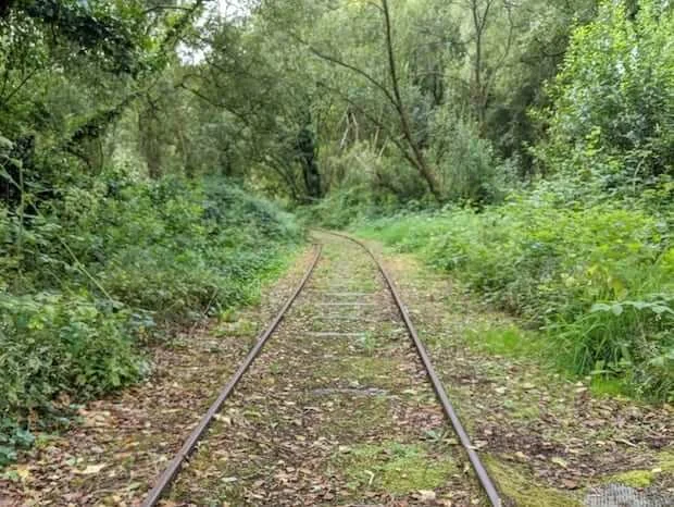 Visit Peatlands Park and Get Into Nature