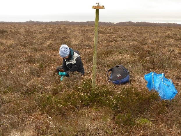 A DAERA scientist carrying out monitoring at Ballynahone Bog near Maghera in Northern Ireland.