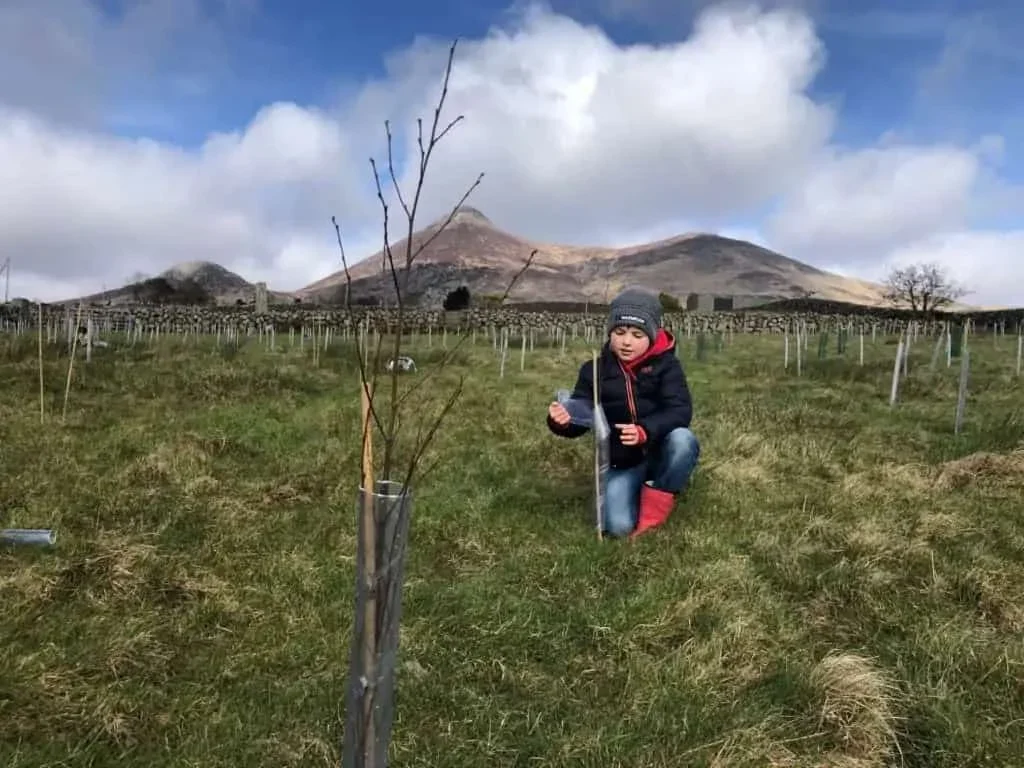 The Marks family farm in the Mourne Mountains