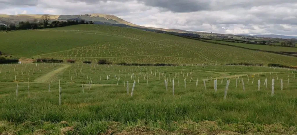 The Miller’s farm in Desertmartin