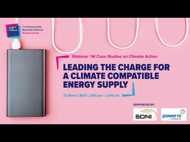 Power NI and SONI share how they are supporting businesses to decarbonise their energy supply.