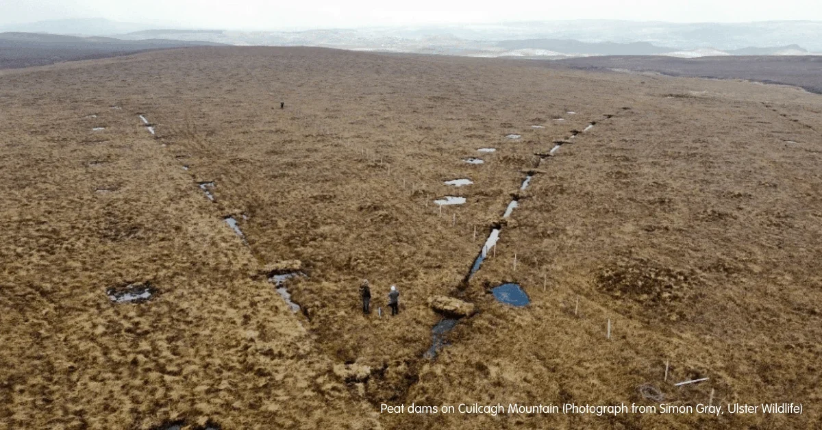 Peat dams on Cuilcagh Mountain