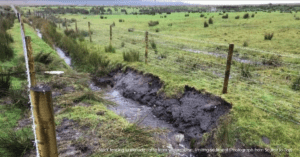 Source to Tap - Livestock fencing to exclude cattle from watercourse, limiting sediment