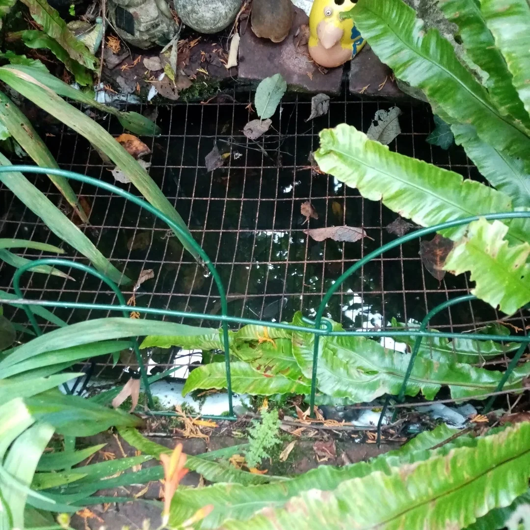 I have used old kids paddling pools to create 2 wildlife ponds.