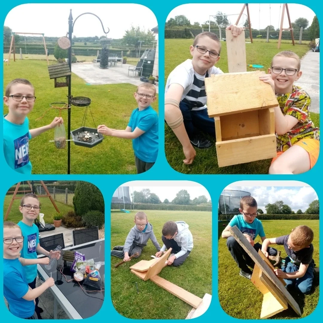 My boys have been making bird boxes and making their own bird feeders to attract different species into the garden.