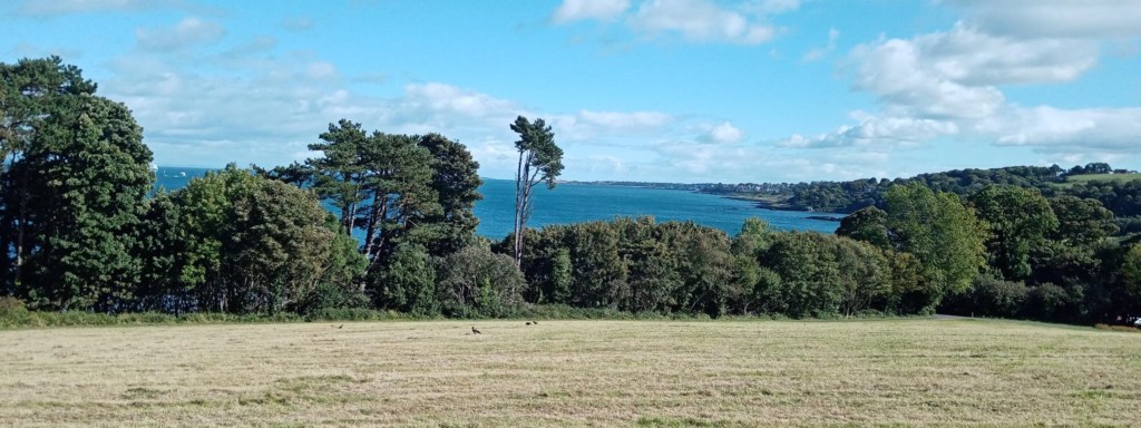 Crawfordsburn Country Park officially opened back in 1971