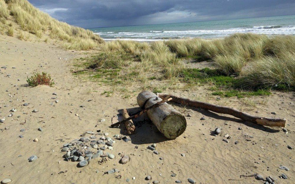 Driftwood on the sand at Murlough beach under a dark sky, cold green sea behind the dunes