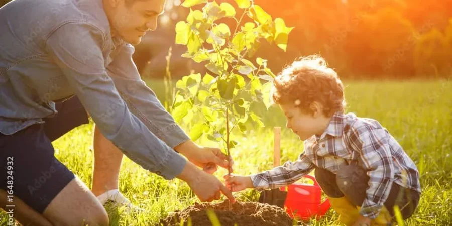 Easy ways to slow down climate change & save money