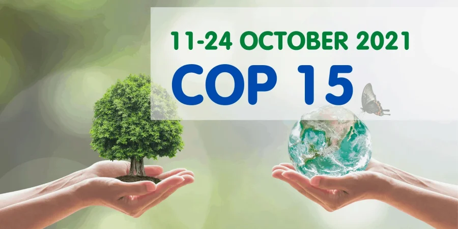 COP 15