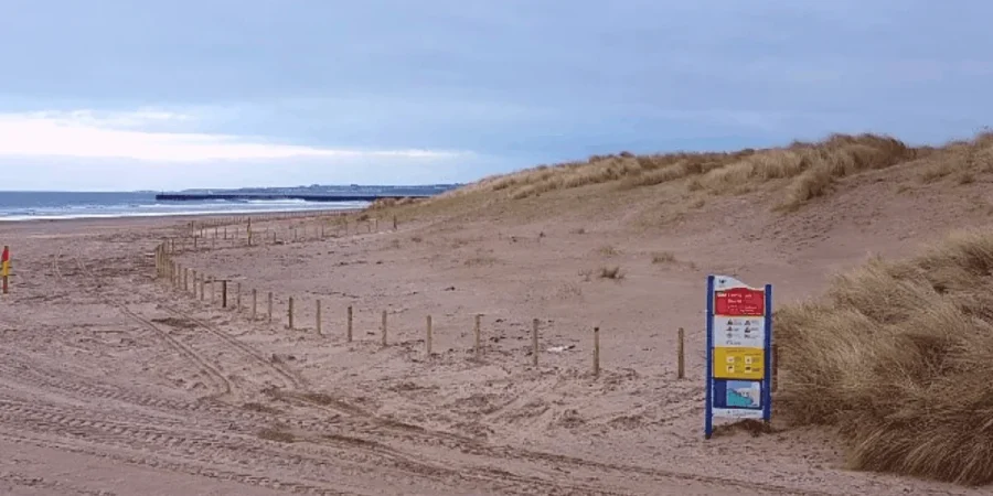 Embryo dune fencing installation along Castlerock beach, January 2017. (Photograph from NIEA)