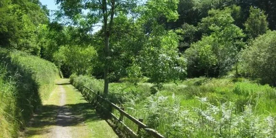 https://myni.life/wp-content/uploads/2020/08/Glenmore-Scenic-Walk.jpg