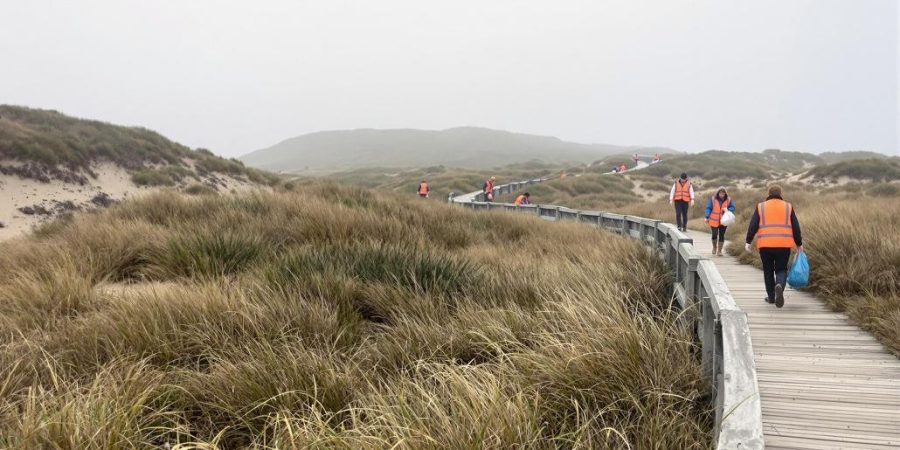 beach conservation impacts northern ireland