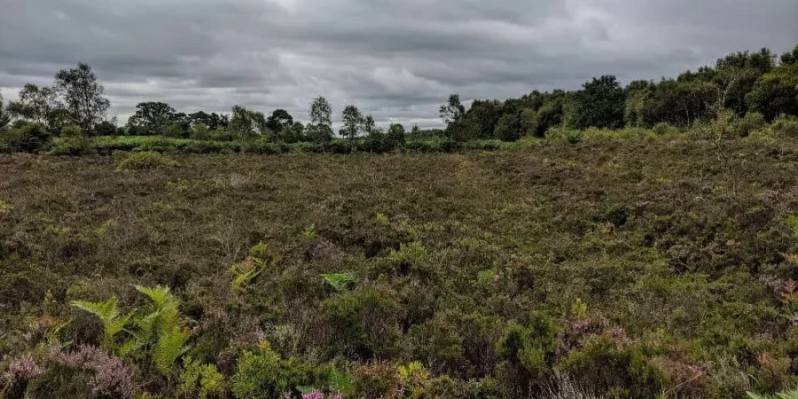 Visit Peatlands Park and Get Into Nature