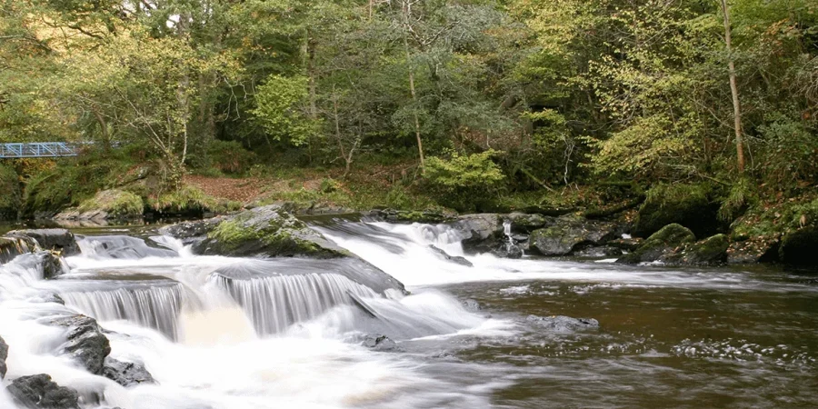 Visit Roe Valley Country Park and Get Into Nature