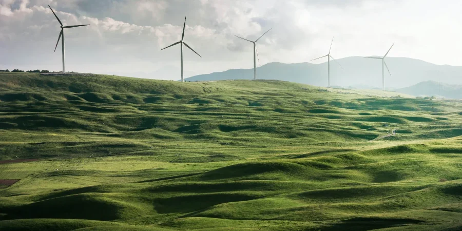 Windfarm
